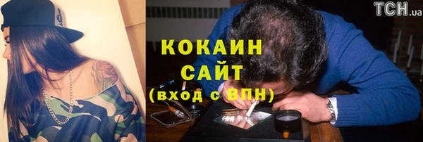 гидра Горнозаводск