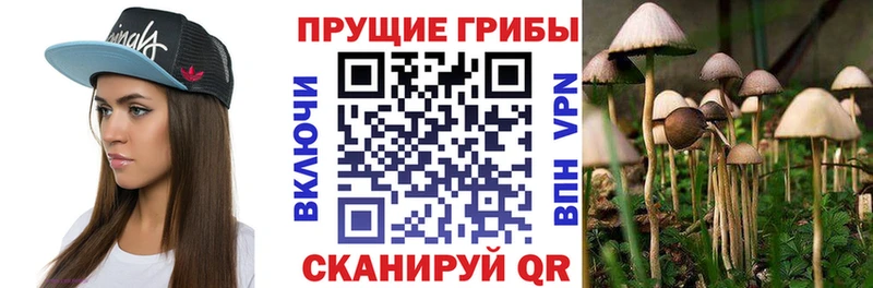 Псилоцибиновые грибы ЛСД shop наркотические препараты Тулун