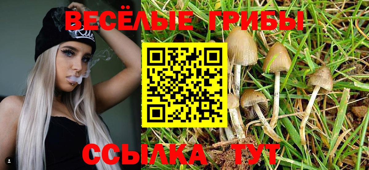 Псилоцибиновые грибы Magic Shrooms  Галлюциногенные грибы мухоморы  Тулун  Вход с VPN 